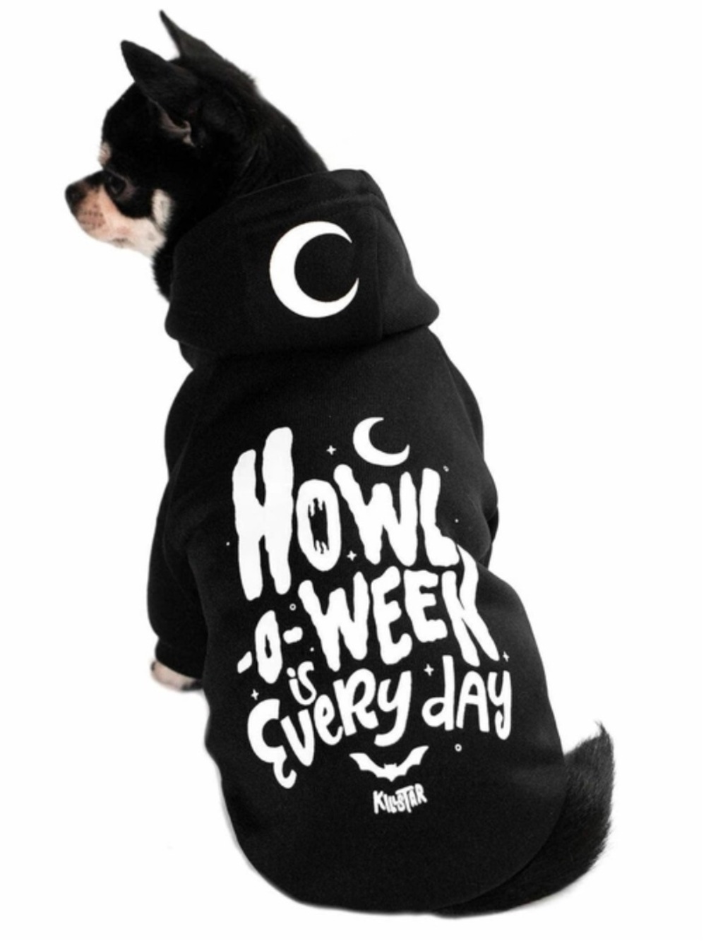Killstar Howl O Ween is Everyday Dog Hoodie Size Small
